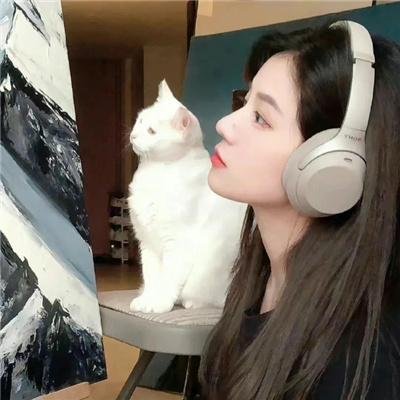 完美敌人